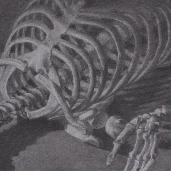 Anatomie artistique